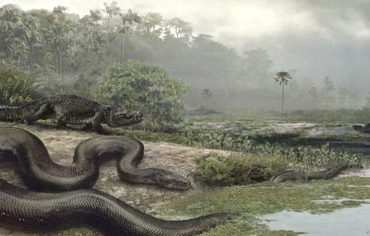 Encuentran nueva serpiente gigante en la India