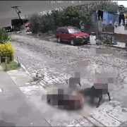 Abuelita es atacada por perros en Querétaro