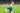La Selección Mexicana había conseguido el empate ante Brasil, pero una mala marca en los minutos finales, provocó una segunda derrota antes de Copa América.