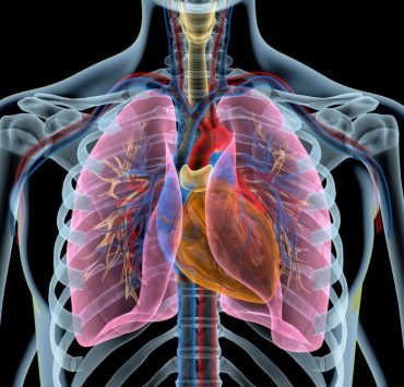 Crean una vacuna contra el cáncer