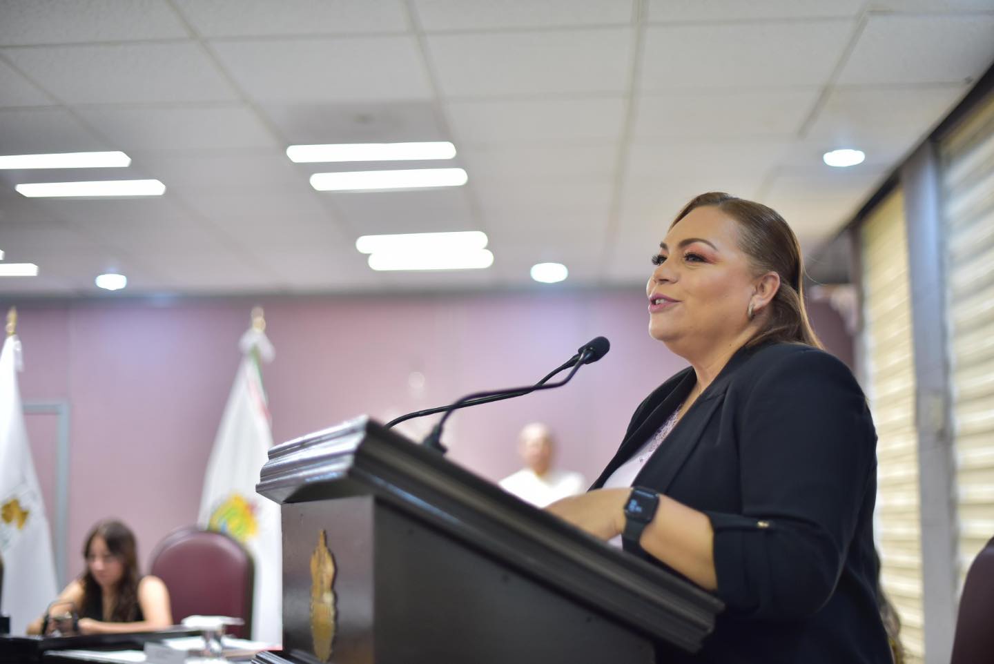 La diputada Verónica Pulido Herrera, presentó la Iniciativa