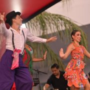 Salsa Fest